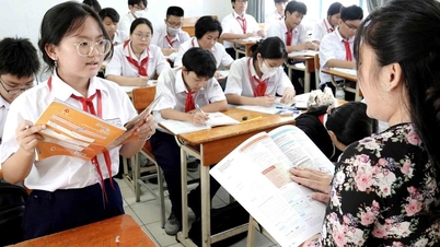 영어를 제2외국어로 사용하는 사람: 베트남 상황에 적합한 제안된 솔루션