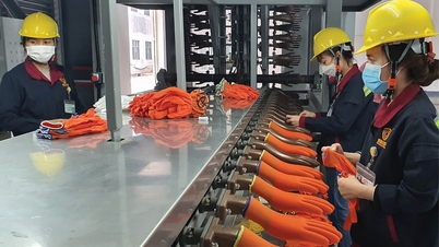 عدم تغییر در هدف رشد