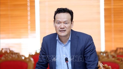 វៀតណាមវាយតម្លៃខ្ពស់ចំពោះគំរូសហប្រតិបត្តិការសេដ្ឋកិច្ចទ្វេភាគីជាមួយថៃ។