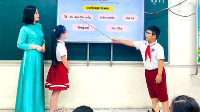 Em direção a um ambiente de linguagem padrão