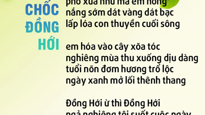 डोंग होई में एक पल