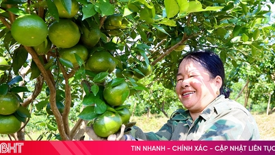 ดูแลช่วง "สปรินต์"