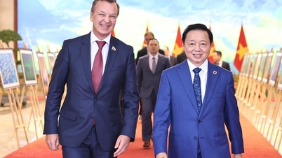 Deputy Prime Minister Tran Hong Ha received First Deputy Chairman of the Federation Council of the Federal Assembly of the Russian Federation AV Yatskin