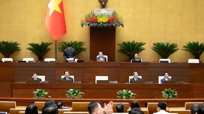 รัฐสภาหารือนโยบายสำคัญด้านการพัฒนาสุขภาพและการศึกษา