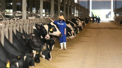 Fuja da agricultura em pequena escala para a agricultura concentrada e biosegura.