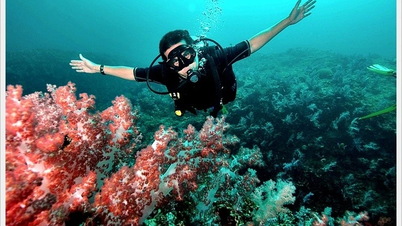 コンダオ島の多様な海洋生態系を探索