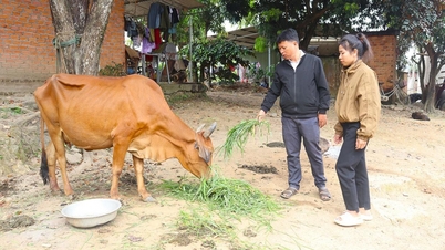 เปิดช่องทางการดำรงชีพเพื่อช่วยเหลือครัวเรือนยากจน