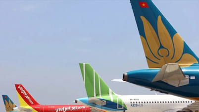 항공 운송 가속화, 국제선 운항이 성장 견인