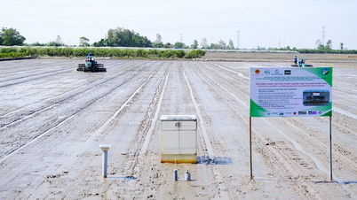 녹색 성장 효율성과 국제 자본원 풀기