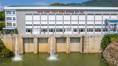 كيف يقوم مالك محطة سونغ با ها للطاقة الكهرومائية بممارسة أعماله؟