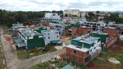 Business records "mistakenly sold" social housing to relatives of officials