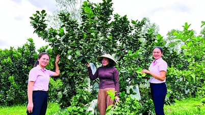 Disseminando o crédito político nas terras altas.