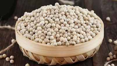 2025년 12월 2일 오늘의 고추 가격: 급락