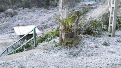 2 декабря: начинает влиять холодный воздух, в ночь на 3 декабря в некоторых районах на севере будет очень холодно.