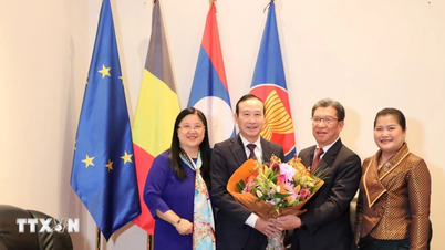 من بروكسل، نشر التضامن الخاص بين فيتنام ولاوس