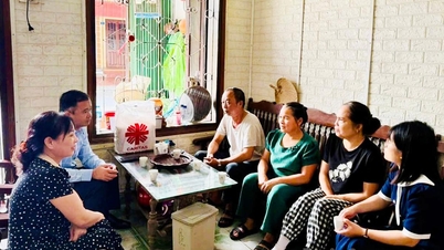 Hogy a Front káderei „vörösök és profik” legyenek