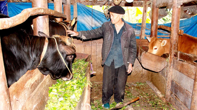Посилення заходів щодо запобігання голоду та холоду для худоби та водних продуктів взимку та навесні 2025-2026 років