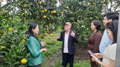 חיזוק אספקת הדשנים החקלאיים