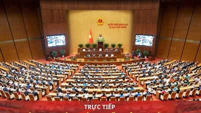 Zpráva: Národní shromáždění projednává politiku zdravotní péče (dopoledne 2. prosince)