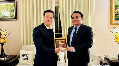 A Nghe An Tartományi Népi Bizottság alelnöke együttműködik Vietnam állandó küldöttségének vezetőjével Genfben - Svájc