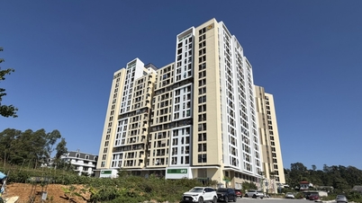 Solucionando dificuldades para a habitação social