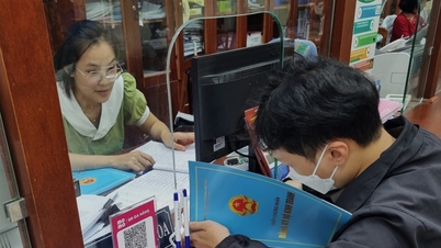 آن لائن بزنس رجسٹریشن کے لیے "0 VND" فیس کا اطلاق: ایک نئی پیش رفت