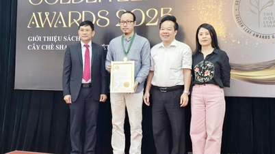 ชาโห่เทาซานเตวี๊ยต: แบรนด์ทองคำของโลก