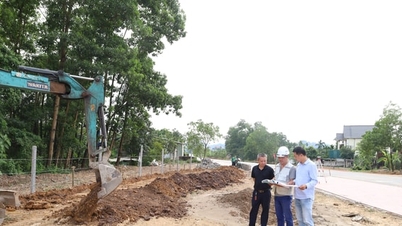 میرا ڈک سال کے آخر میں تعمیر کو تیز کرتا ہے۔