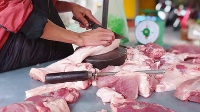 Schweinepreis heute, 2. Dezember 2025: Erhöht auf 57.000 VND/kg