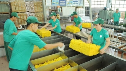 Kautschukpreis heute, 2. Dezember 2025: Weltweit steigen die Preise gleichzeitig