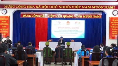 Främja juridisk utbildning för ungdomar genom en modell för skenrättegångar