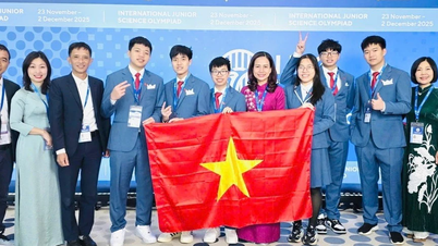 ویتنام کے طلباء نے بین الاقوامی جونیئر سائنس اولمپیاڈ میں 6 تمغے جیتے ہیں۔