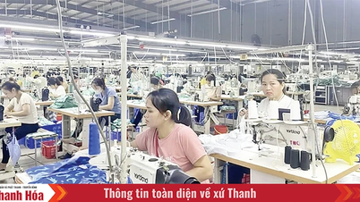 ธุรกิจเร่งการผลิตและเตรียมสินค้าสำหรับเทศกาลตรุษเต๊ต