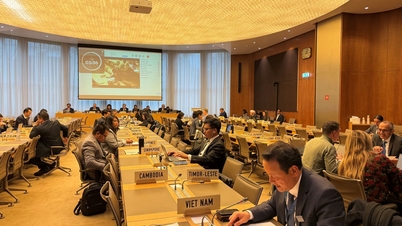 Phái đoàn Việt Nam phát biểu tại phiên rà soát chính sách thương mại của Thái Lan tại WTO