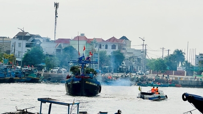Giải tỏa lệnh cấm tàu thuyền trên vùng biển Lâm Đồng