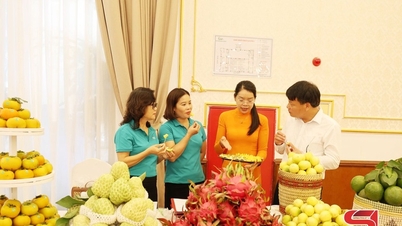 Støtt bedrifter og kooperativer for å markedsføre typiske landbruksprodukter