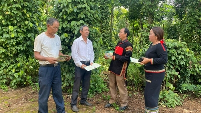 V oblasti etnických menšin žije v obci Cuor Dang 12 prestižních lidí.