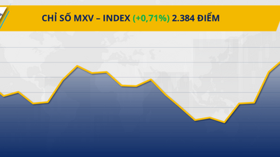 Råvarumarknaden skakar kraftigt, MXV-index ökar poäng