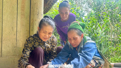 জলের ফার্ন বুনন দারিদ্র্য থেকে মুক্তির পথ খুলে দেয়