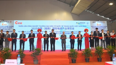 CIEIE 2025는 지역 전자상거래 협력을 촉진합니다.