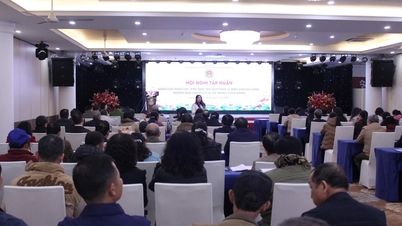 Oddělení pro šíření právních informací, vzdělávání a právní pomoc Ministerstva spravedlnosti uspořádalo školicí konferenci s cílem zlepšit kapacity a znalosti v oblasti právní pomoci v provincii Lang Son.