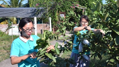 ส่งเสริมการค้าและขยายตลาดสหกรณ์