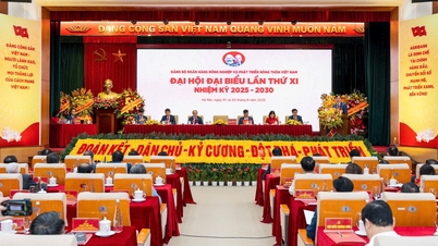 Лідерська роль партійного комітету Агрібанку в розвитку приватної економіки. Частина 1: Від Резолюції № 68-NQ/TW до практичних дій в Агрібанку.