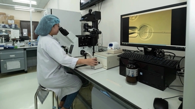 ১৯ জন বিদেশী পিএইচডি স্নাতক দেশে শিক্ষকতা করতে ফিরে এসেছেন, তাদের মধ্যে একজনের ৬৯টি বৈজ্ঞানিক প্রবন্ধ রয়েছে।