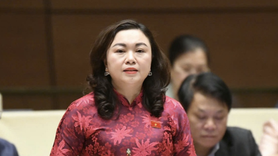 Đại biểu đề xuất miễn 1 năm tiền đóng bảo hiểm y tế tự nguyện cho người dân các tỉnh bị bão lũ