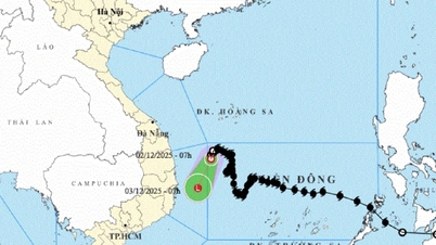 पूर्वी सागर में उष्णकटिबंधीय अवसाद डाक लाक - खान होआ के समुद्री क्षेत्र को प्रभावित करता है