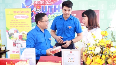 Podpora mladých lidí v zakládání inovativních podniků