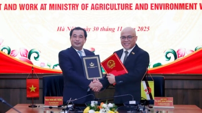 فيتنام وبروناي تعززان التعاون في الزراعة ومصايد الأسماك والبيئة