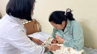 Rumah Sakit Umum No. 2: Berbagai kegiatan dalam rangka menyambut Hari Bayi Prematur Sedunia