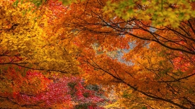 জিওনবুক: কোরিয়ান প্রকৃতির মাঝে শান্তি খুঁজে পাওয়ার এক যাত্রা